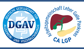 DGAV Logo